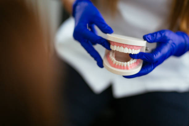 Professional Holistic Dental Care Services in Cornville, AZ
